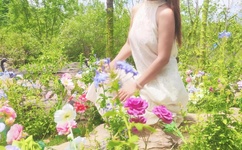 进入英语课代表腿中间作文